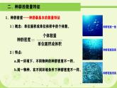 人教版生物高二上学期必修三 4.1种群的特征 课件