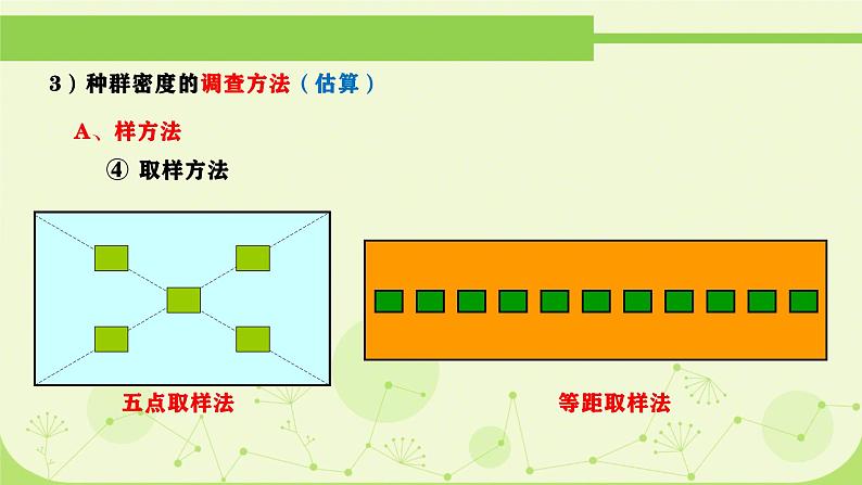 人教版生物高二上学期必修三 4.1种群的特征 课件06