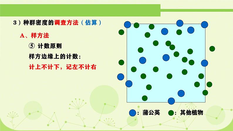 人教版生物高二上学期必修三 4.1种群的特征 课件07