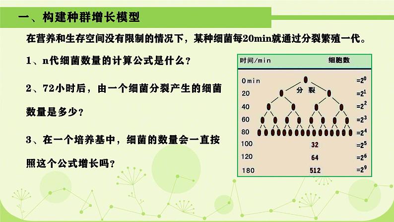 人教版生物高二上学期必修三 4.2种群数量的变化 课件03