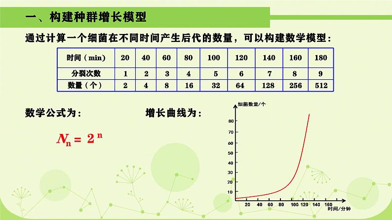 人教版生物高二上学期必修三 4.2种群数量的变化 课件05