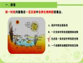人教版生物高二上学期必修三 4.3群落的结构 课件