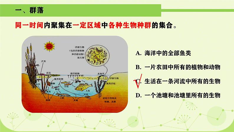 人教版生物高二上学期必修三 4.3群落的结构 课件02