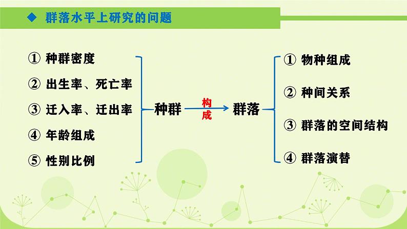 人教版生物高二上学期必修三 4.3群落的结构 课件03