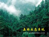人教版生物高二上学期必修三 5.1生态系统的结构 课件