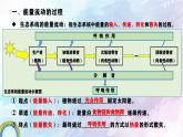 人教版生物高二上学期必修三 5.2生态系统的能量流动 课件