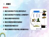 人教版生物高二上学期必修三 5.3生态系统的物质循环 课件