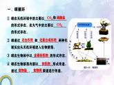 人教版生物高二上学期必修三 5.3生态系统的物质循环 课件