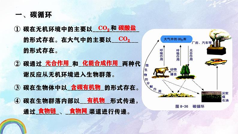 人教版生物高二上学期必修三 5.3生态系统的物质循环 课件04