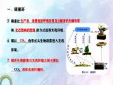 人教版生物高二上学期必修三 5.3生态系统的物质循环 课件