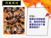 人教版生物高二上学期必修三 5.4生态系统的信息传递 课件