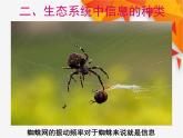 人教版生物高二上学期必修三 5.4生态系统的信息传递 课件