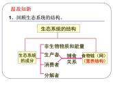 人教版生物高二上学期必修三 5.5生态系统的稳定性 课件
