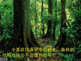人教版生物高二上学期必修三 5.5生态系统的稳定性 课件