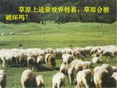 人教版生物高二上学期必修三 5.5生态系统的稳定性 课件