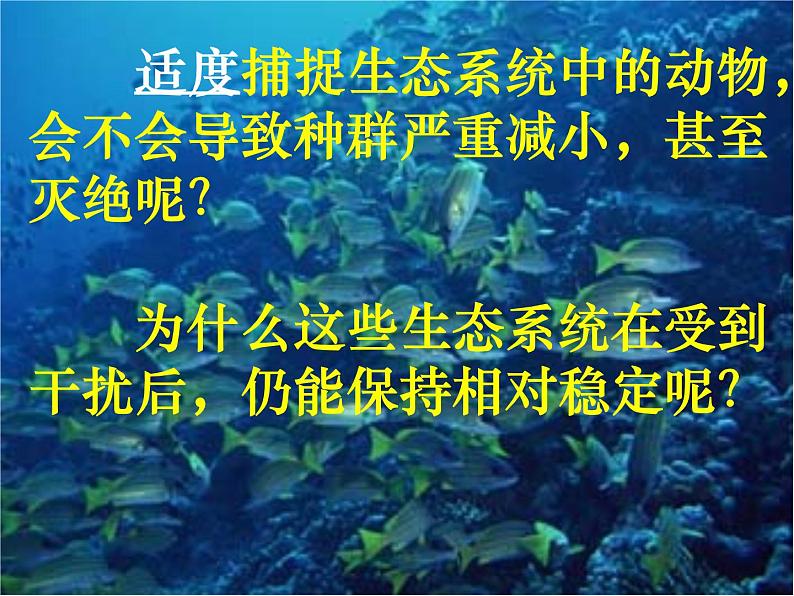 5.5生态系统的稳定性课件2022-2023学年高二上学期生物人教版必修3第6页