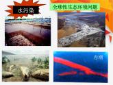 人教版生物高二上学期必修三 6.2保护我们共同的家园 课件