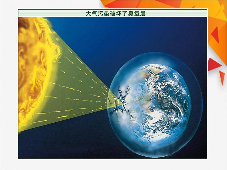 人教版生物高二上学期必修三 6.2保护我们共同的家园 课件06