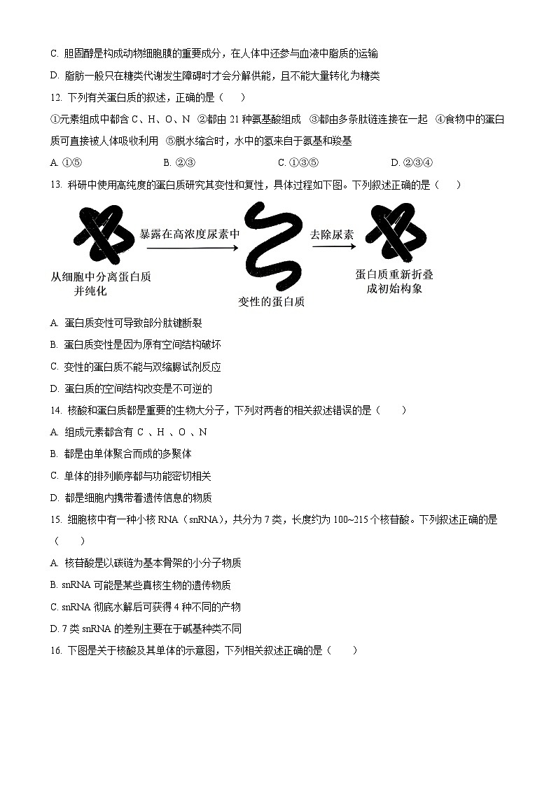 湖南省邵阳市海谊中学2023-2024学年高一上学期期末考试生物试题（A卷）（原卷版）第3页