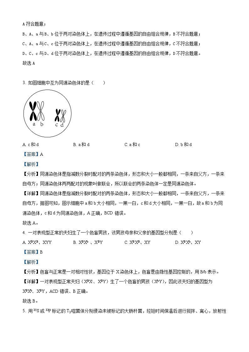 广东省潮州市潮安区2023-2024学年高一下学期期末考试生物试题（解析版）02