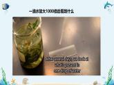 沪科版（2019）高中生物必修一 第一节 人类认识细胞的历程 课件 +教案+素材