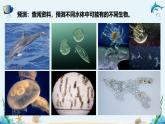 沪科版（2019）高中生物必修一 第一节 人类认识细胞的历程 课件 +教案+素材