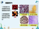 沪科版（2019）高中生物必修一 第二节 生物体由多种多样的细胞构成 课件 +教案+素材