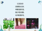沪科版（2019）高中生物必修一 第一节  细胞由多种元素和化合物组成 课件 +教案