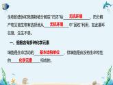 沪科版（2019）高中生物必修一 第一节  细胞由多种元素和化合物组成 课件 +教案
