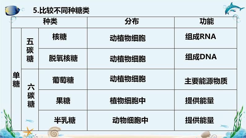 沪科版（2019）高中生物必修一 第三节  糖类和脂质对细胞的结构和功能具有重要作用 课件 +教案08