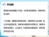 沪科版（2019）高中生物必修一 第四节  细胞的功能主要由蛋白质完成 课件 +教案