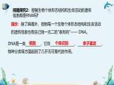 沪科版（2019）高中生物必修一 第五节  核酸是储存与遗传信息的生物大分子 课件 +教案