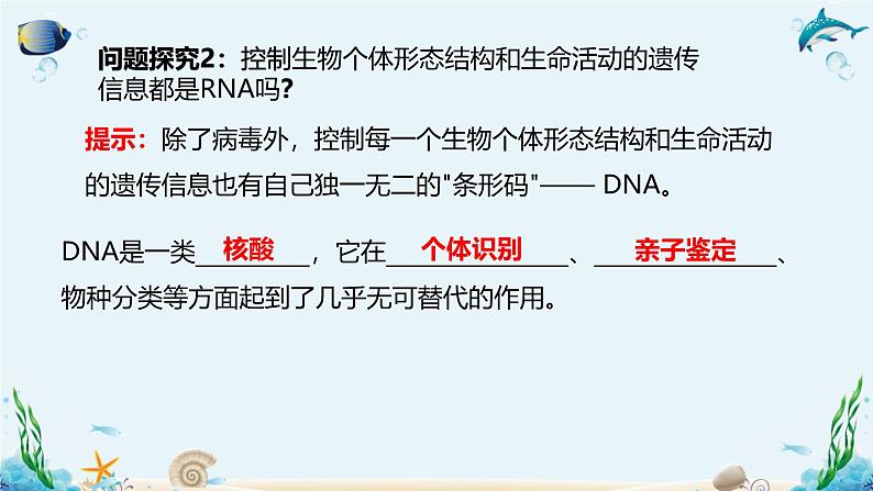 沪科版（2019）高中生物必修一 第五节  核酸是储存与遗传信息的生物大分子 课件 +教案05