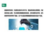 沪科版（2019）高中生物必修一 3.1 细胞都由质膜包裹（课时1）课件 +教案