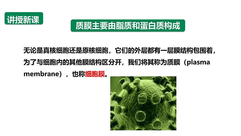 沪科版（2019）高中生物必修一 3.1 细胞都由质膜包裹（课时1）课件 +教案04