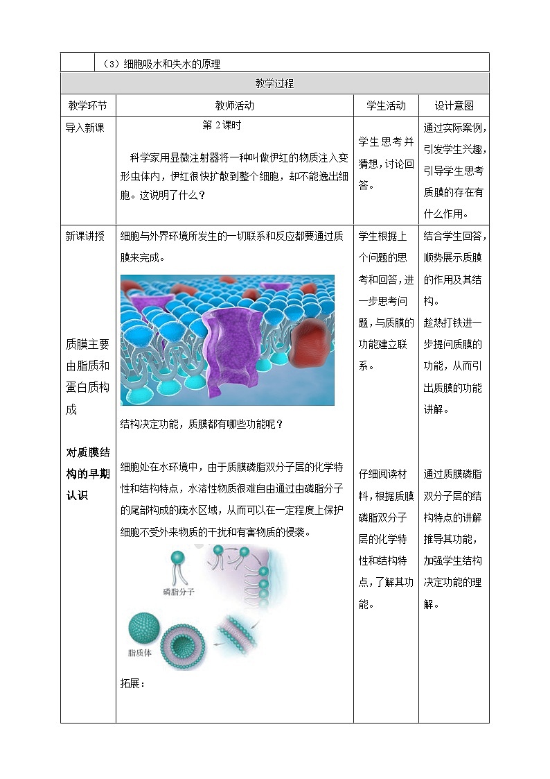 沪科版（2019）高中生物必修一 3.1 细胞都由质膜包裹（课时2）课件 +教案02