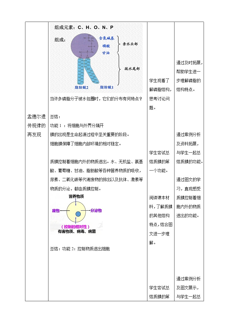 沪科版（2019）高中生物必修一 3.1 细胞都由质膜包裹（课时2）课件 +教案03