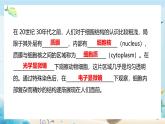 沪科版（2019）高中生物必修一 第二节  细胞内具有许多相对独立的结构 课件 +教案