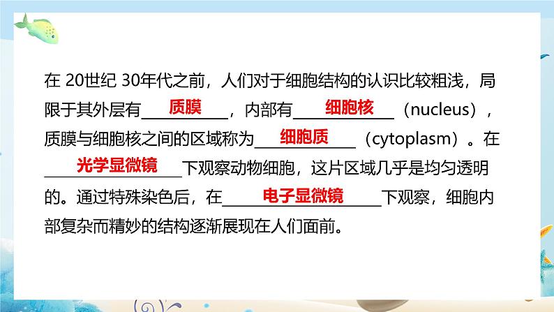 第二节  细胞内具有许多相对独立的结构 课件第4页