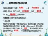 沪科版（2019）高中生物必修一 第二节  细胞内具有许多相对独立的结构 课件 +教案