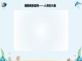 沪科版（2019）高中生物必修一 第三节  遗传信息主要存储在细胞核中 课件 +教案
