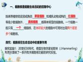 沪科版（2019）高中生物必修一 第三节  遗传信息主要存储在细胞核中 课件 +教案