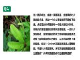 沪科版（2019）高中生物必修一 4.1质膜参与物质交换和信息交流（课时1）课件 +教案