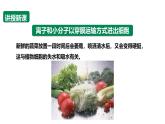 沪科版（2019）高中生物必修一 4.1质膜参与物质交换和信息交流（课时1）课件 +教案