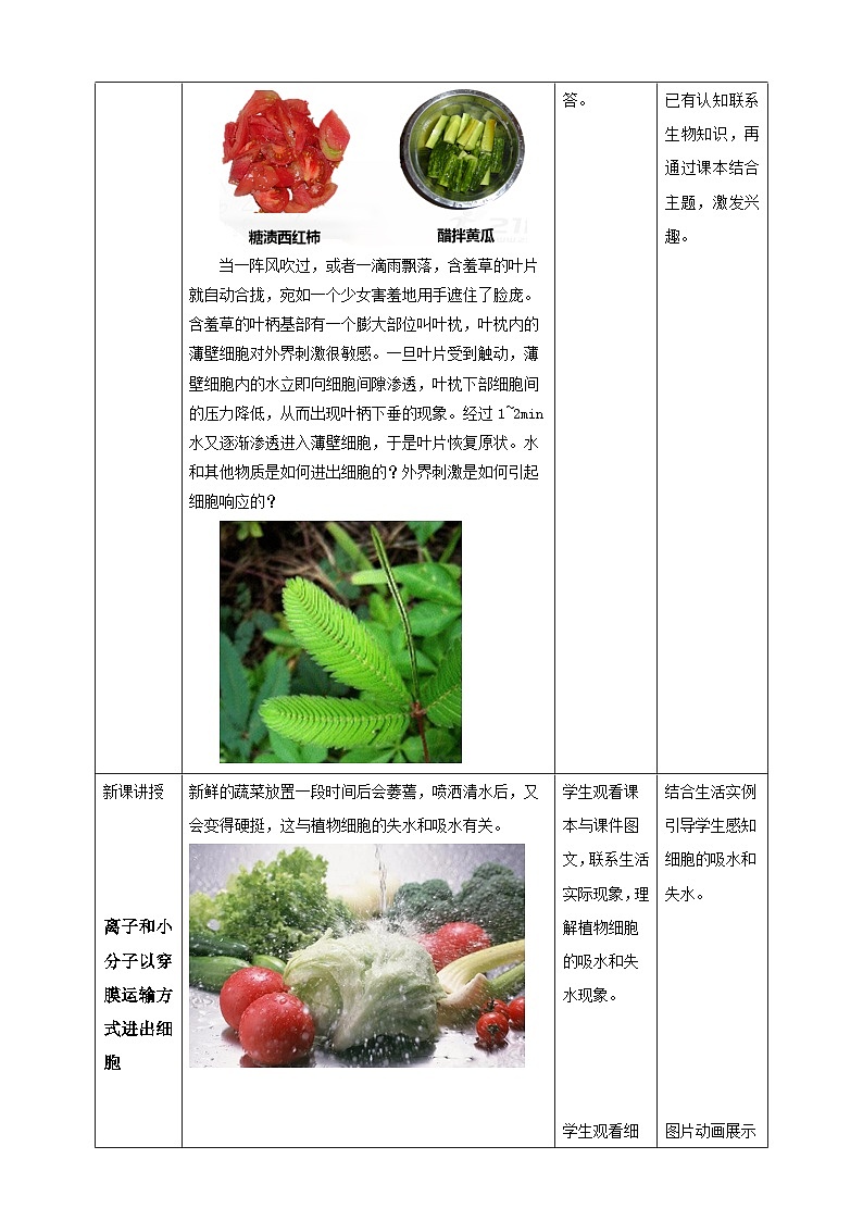 沪科版（2019）高中生物必修一 4.1质膜参与物质交换和信息交流（课时1）课件 +教案02