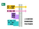 沪科版（2019）高中生物必修一 4.1质膜参与物质交换和信息交流（课时2）课件 +教案