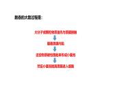 沪科版（2019）高中生物必修一 4.1质膜参与物质交换和信息交流（课时2）课件 +教案