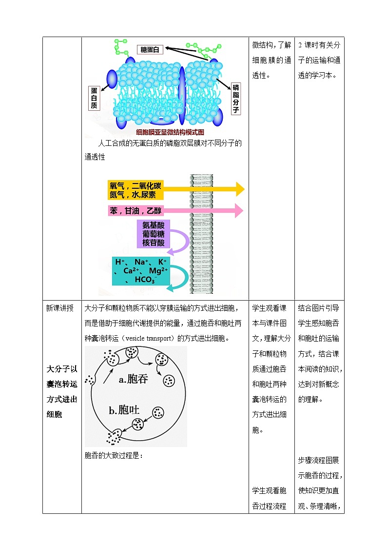 沪科版（2019）高中生物必修一 4.1质膜参与物质交换和信息交流（课时2）课件 +教案02