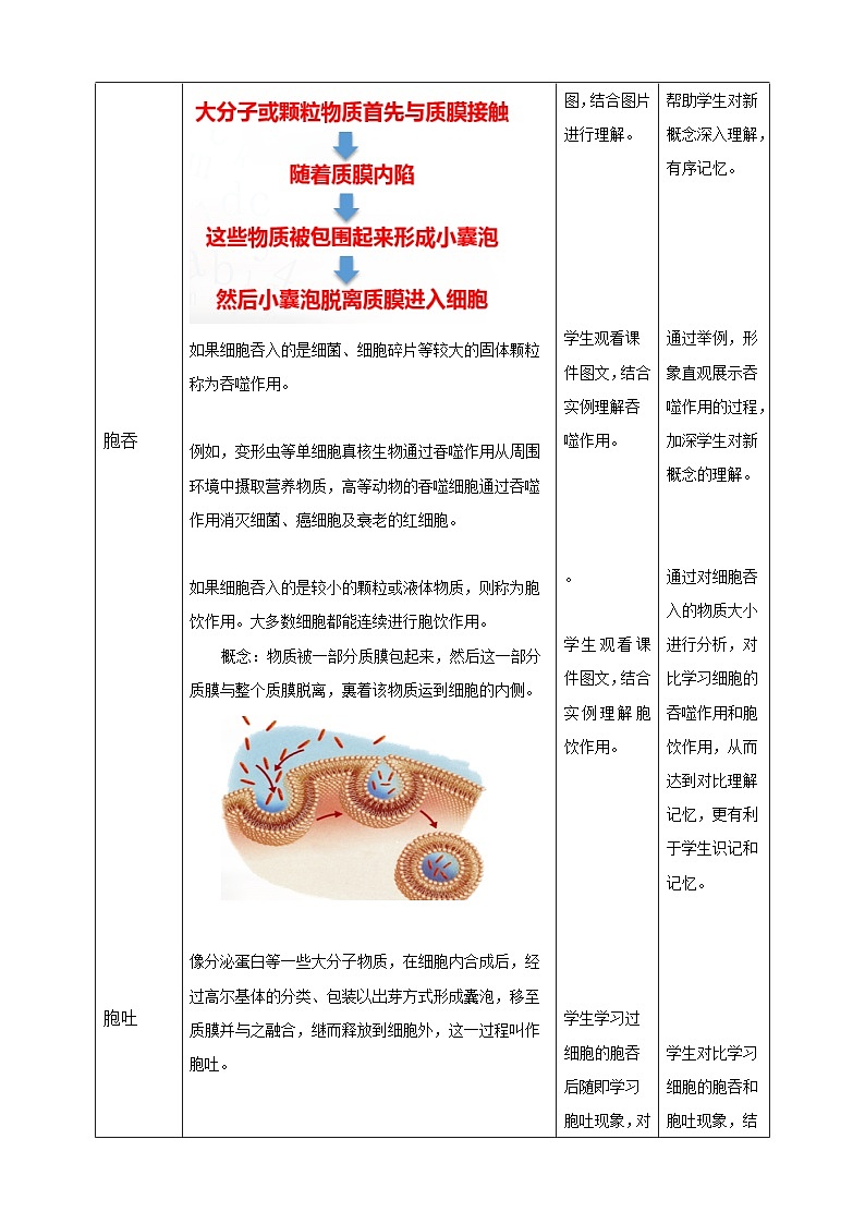 沪科版（2019）高中生物必修一 4.1质膜参与物质交换和信息交流（课时2）课件 +教案03