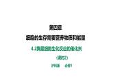 沪科版（2019）高中生物必修一 4.2酶是细胞生化反应的催化剂（课时2）课件 +教案